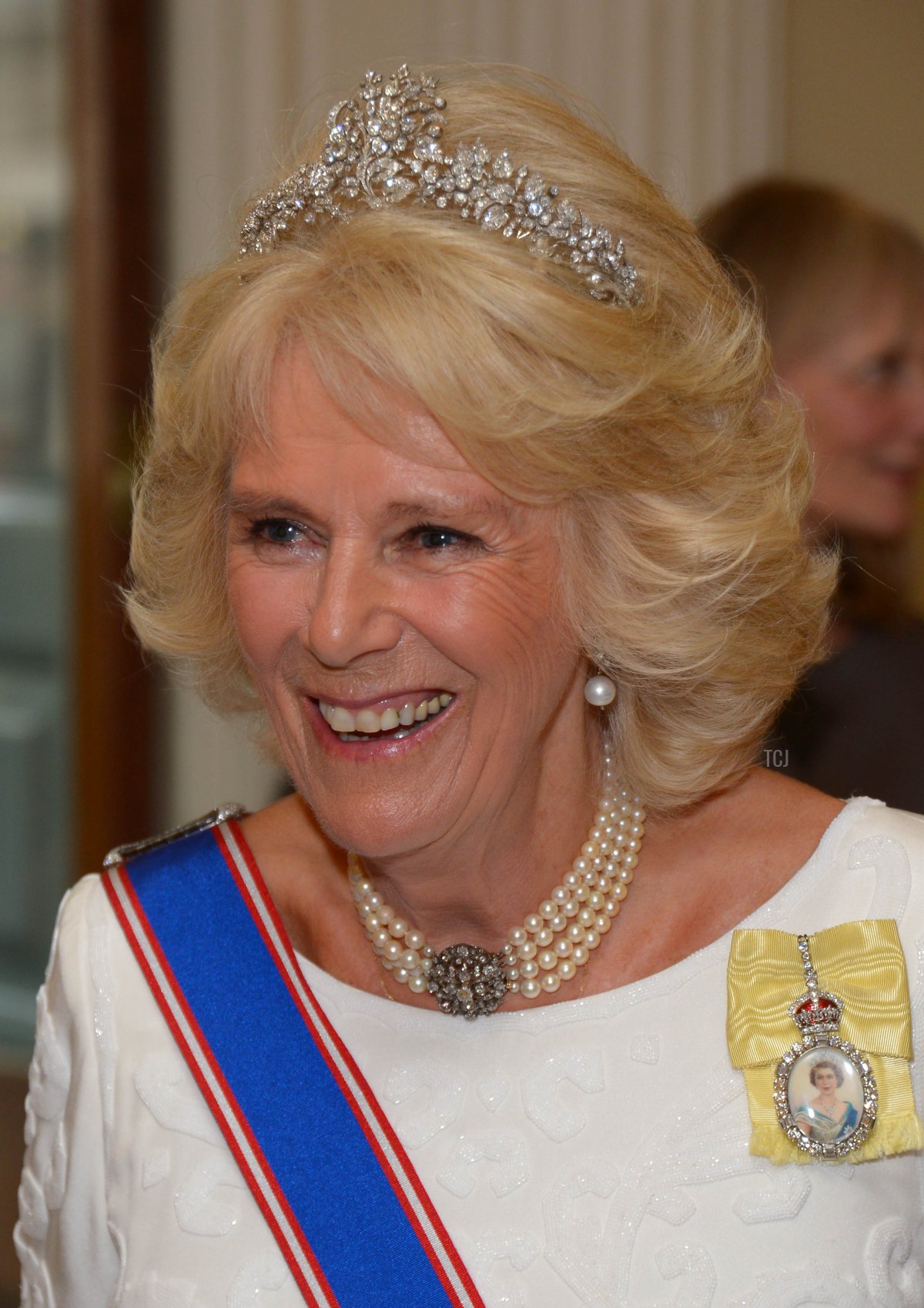 Camilla, Duchessa di Cornovaglia, partecipa alla cena annuale della Royal Academy per celebrare la Summer Exhibition, aperta al pubblico l'8 giugno, alla Royal Academy of Arts il 2 giugno 2015 a Londra, Inghilterra