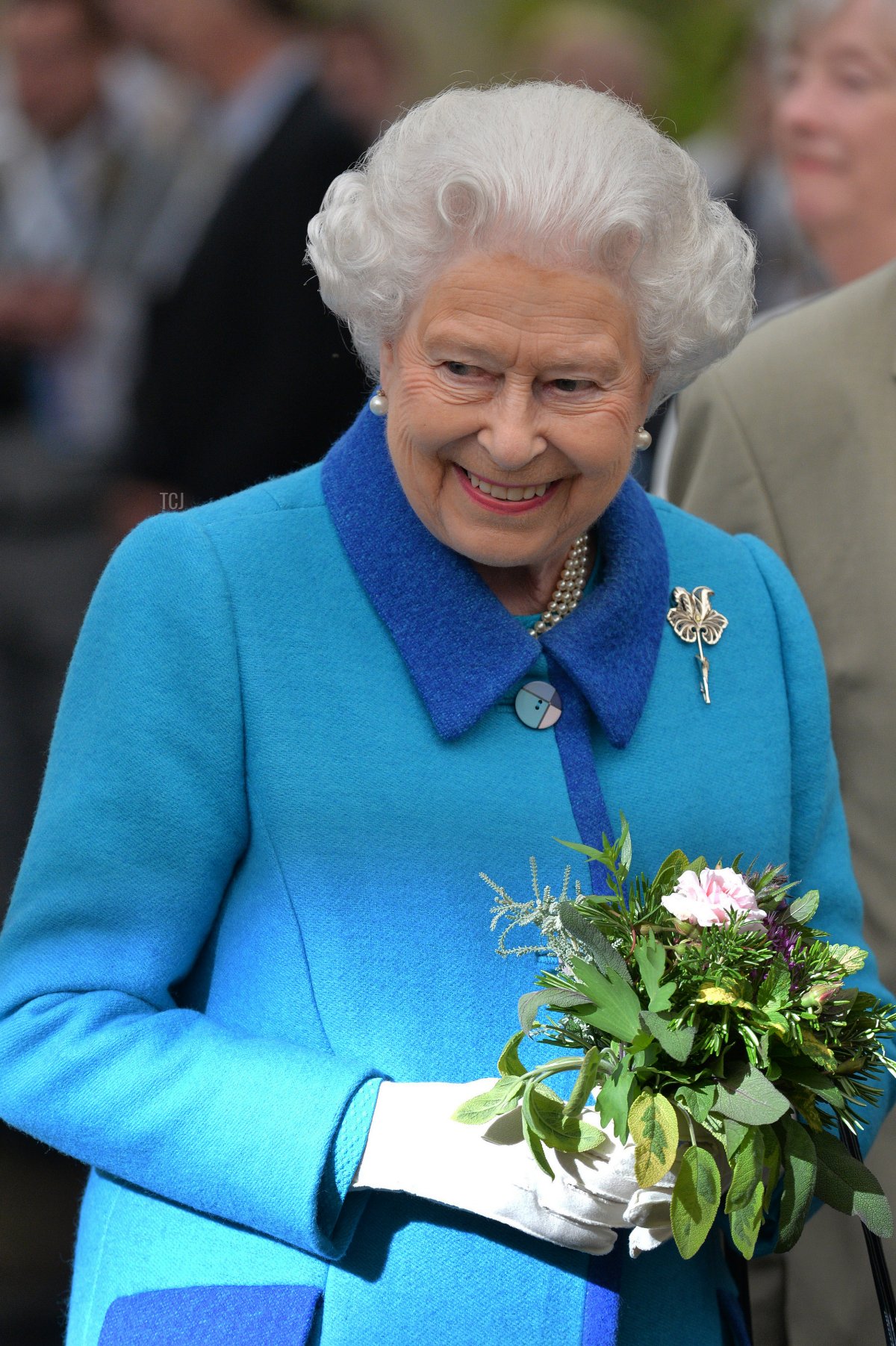 La regina Elisabetta II partecipa all'annuale Chelsea Flower show al Royal Hospital Chelsea il 18 maggio 2015 a Londra, Inghilterra