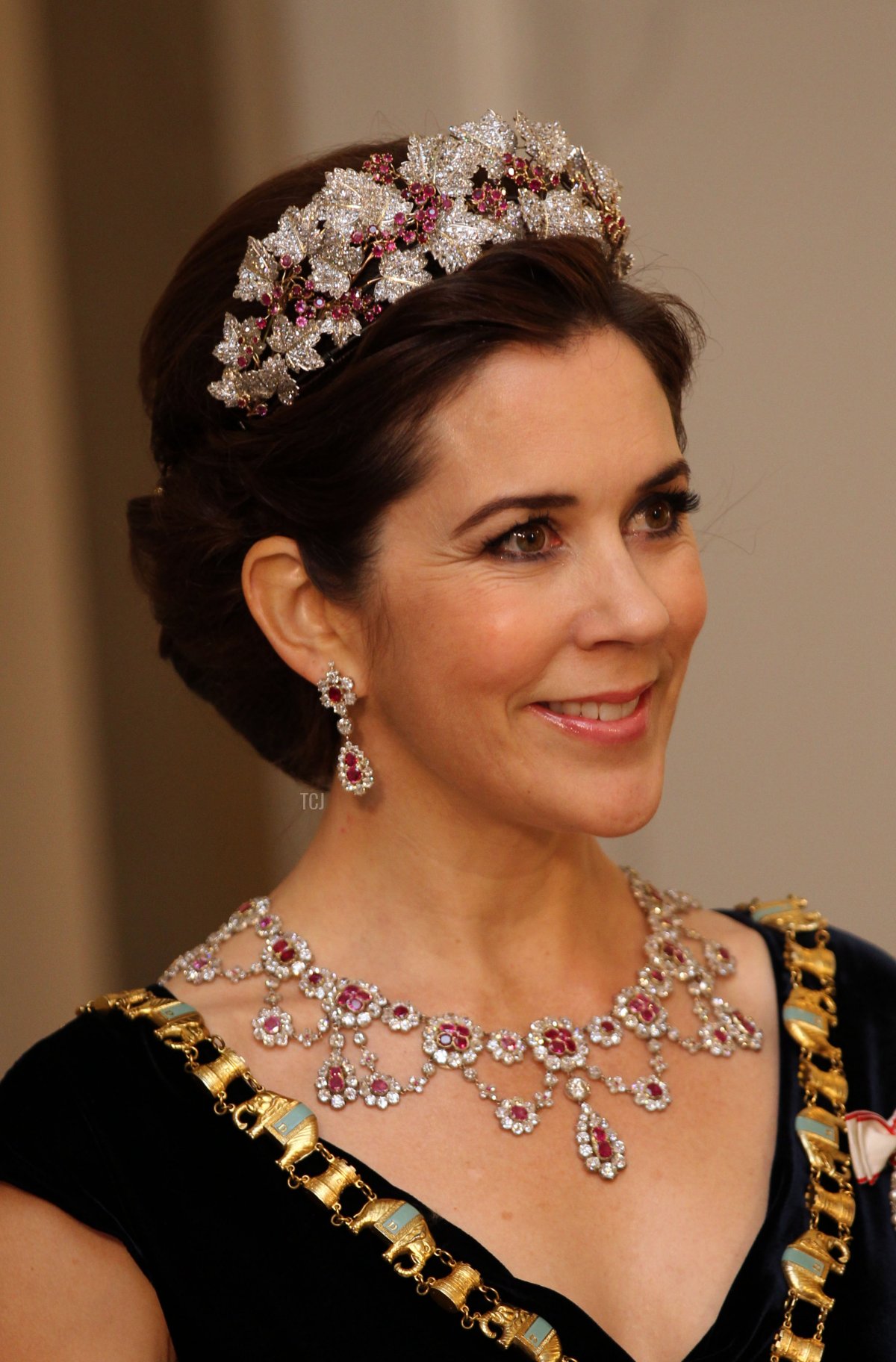 La Principessa Ereditaria Mary di Danimarca partecipa a una cena di gala per celebrare i 40 anni di regno della Regina Margrethe II di Danimarca presso la Cappella del Palazzo Christiansborg il 15 gennaio 2012 a Copenaghen, Danimarca