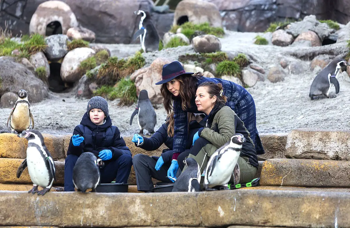 La Principessa Ereditiera Mary di Danimarca, il Principe Vincent e la Principessa Josephine visitano lo Zoo di Copenhagen per tagliare il nastro simbolico per quello che sarà il Giardino Australiano di Mary il 2 febbraio 2022 a Frederiksberg, Danimarca