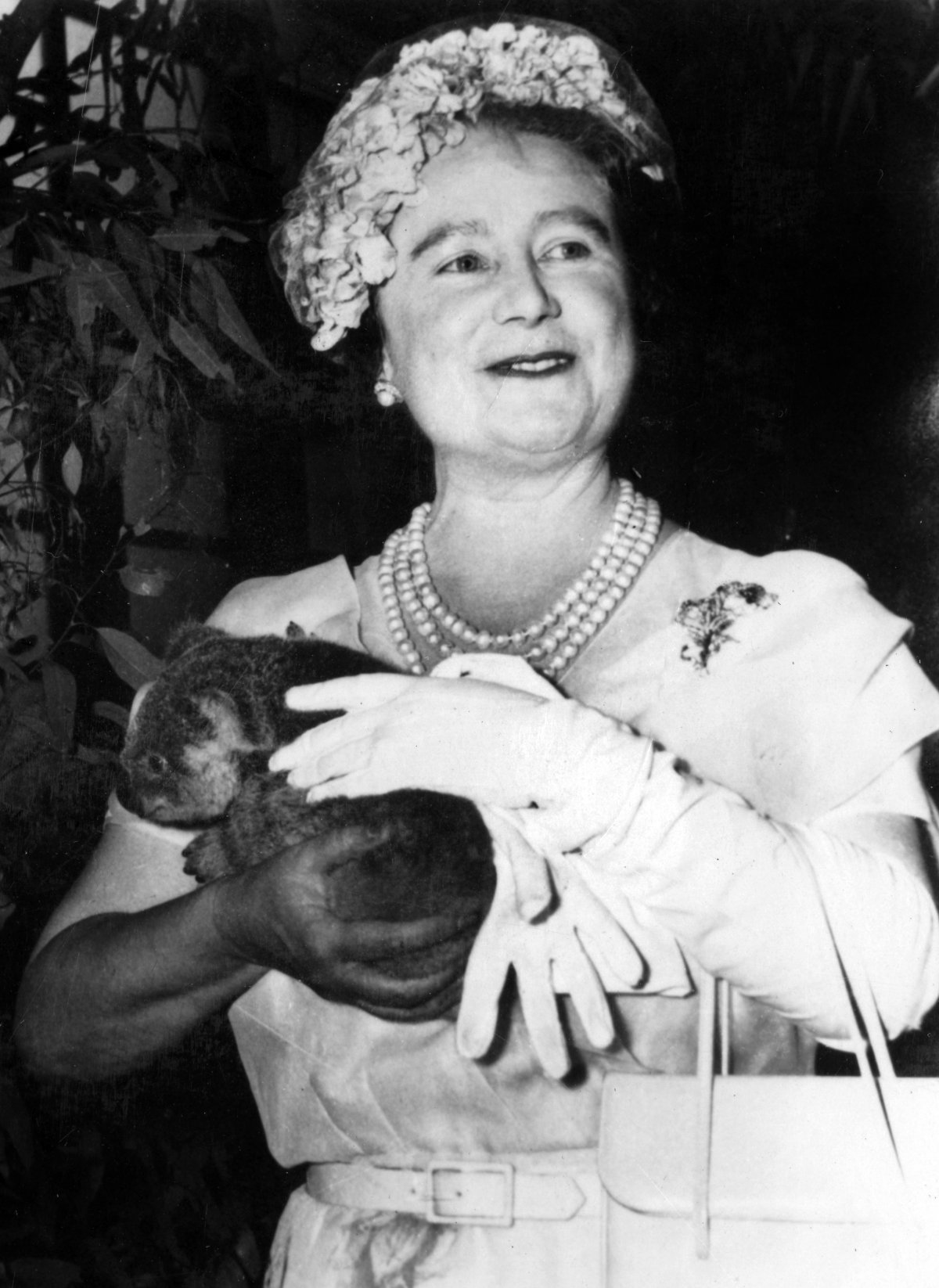 Sua Maestà la Regina Elisabetta La Regina Madre che coccola un koala, Brisbane, 1958