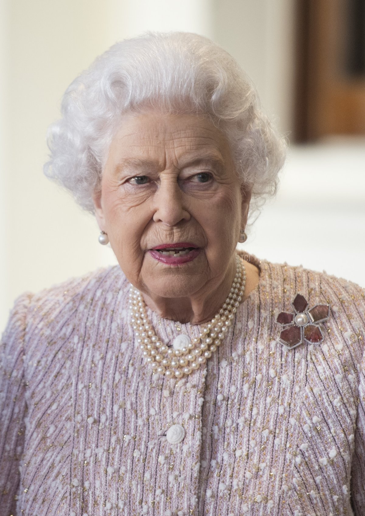 La Regina Elisabetta II saluta il Presidente tedesco Frank-Walter Steinmeier e sua moglie Elke Budenbender all'esterno dell'Ingresso Principale prima di un pranzo privato a Buckingham Palace il 28 novembre 2017 a Londra, Regno Unito