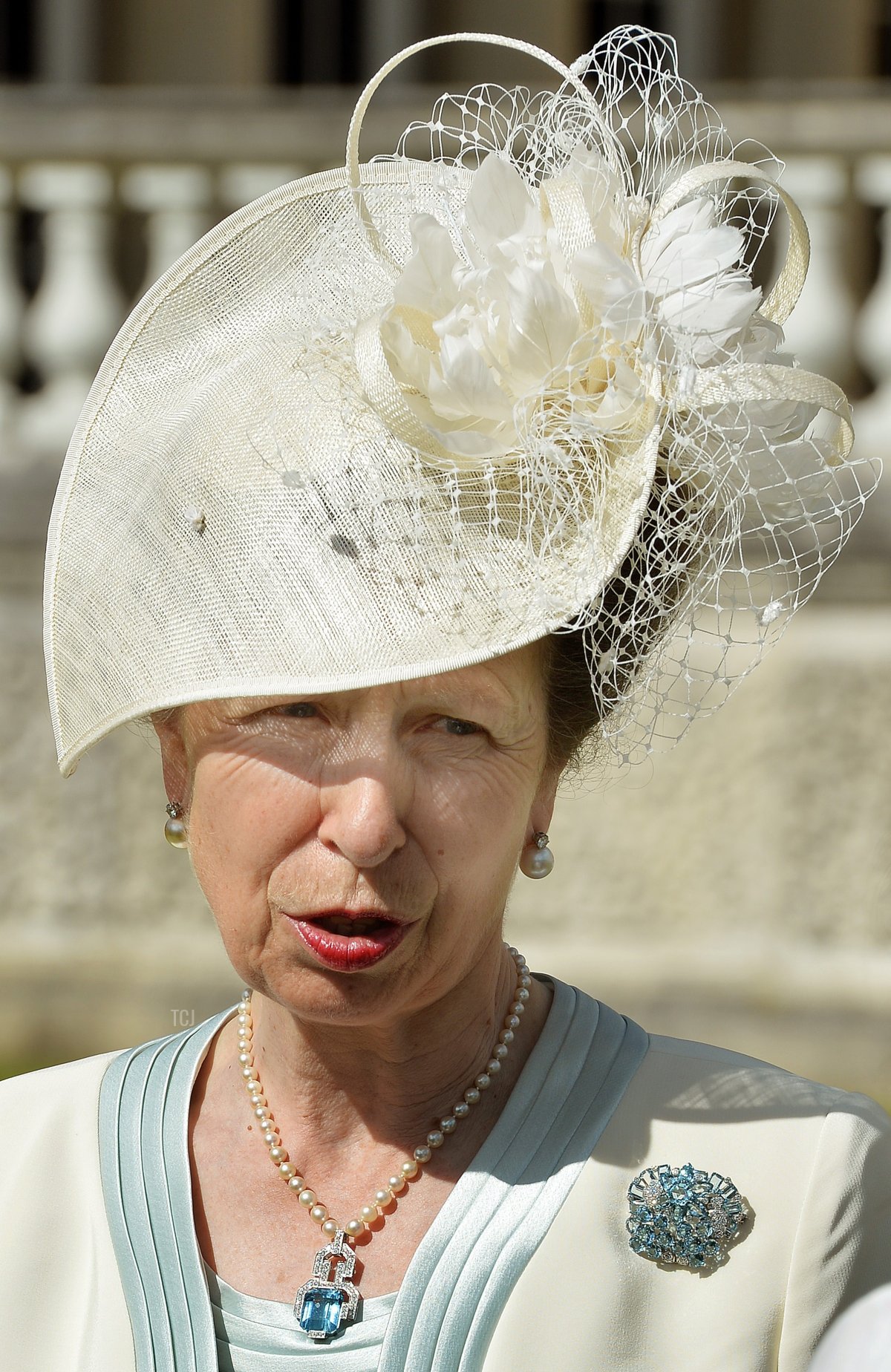 La Principessa Anna, Principessa Reale del Regno Unito, incontra gli ospiti a un party in giardino a Buckingham Palace a Londra il 10 giugno 2014