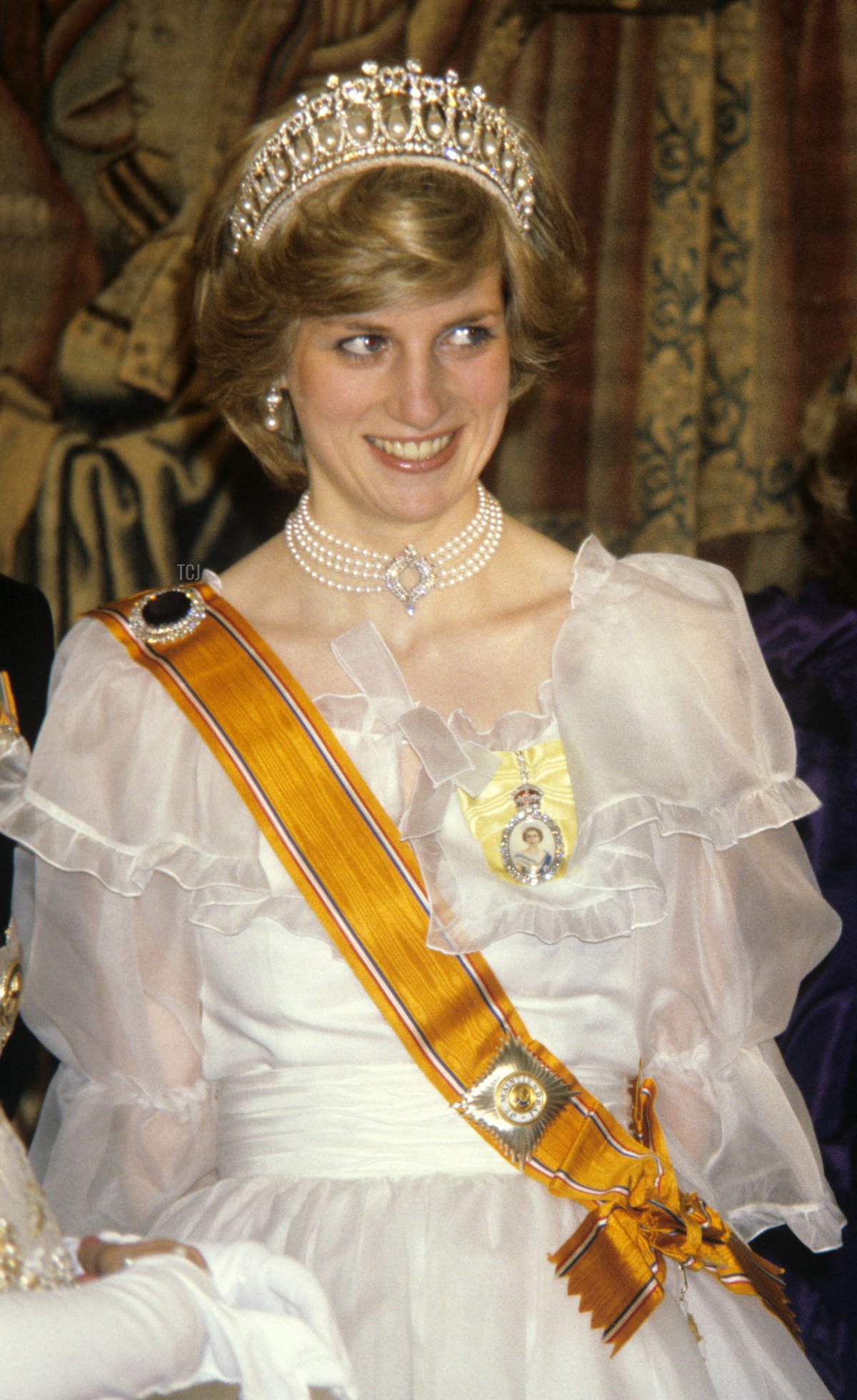 La Principessa di Galles a un banchetto per la famiglia reale britannica tenuto dalla Regina Beatrix e dal Principe Claus dei Paesi Bassi a Hampton Court Palace, 1982