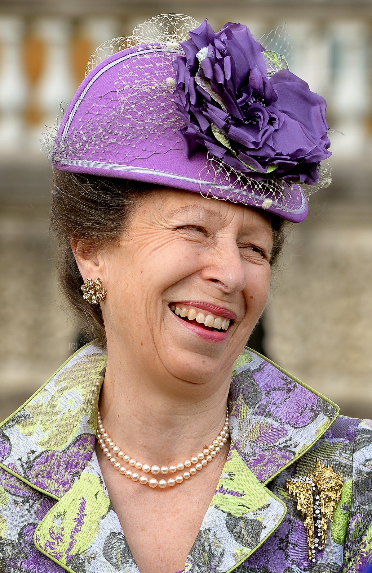 La Principessa Anna, Principessa Reale, parla con gli ospiti mentre partecipa a un Garden Party a Buckingham Palace il 28 maggio 2015 a Londra, Inghilterra