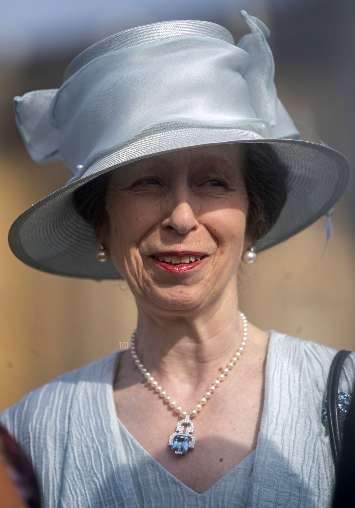 La Principessa Anna partecipa al Garden Party della Regina a Buckingham Palace nel centro di Londra il 15 maggio 2019