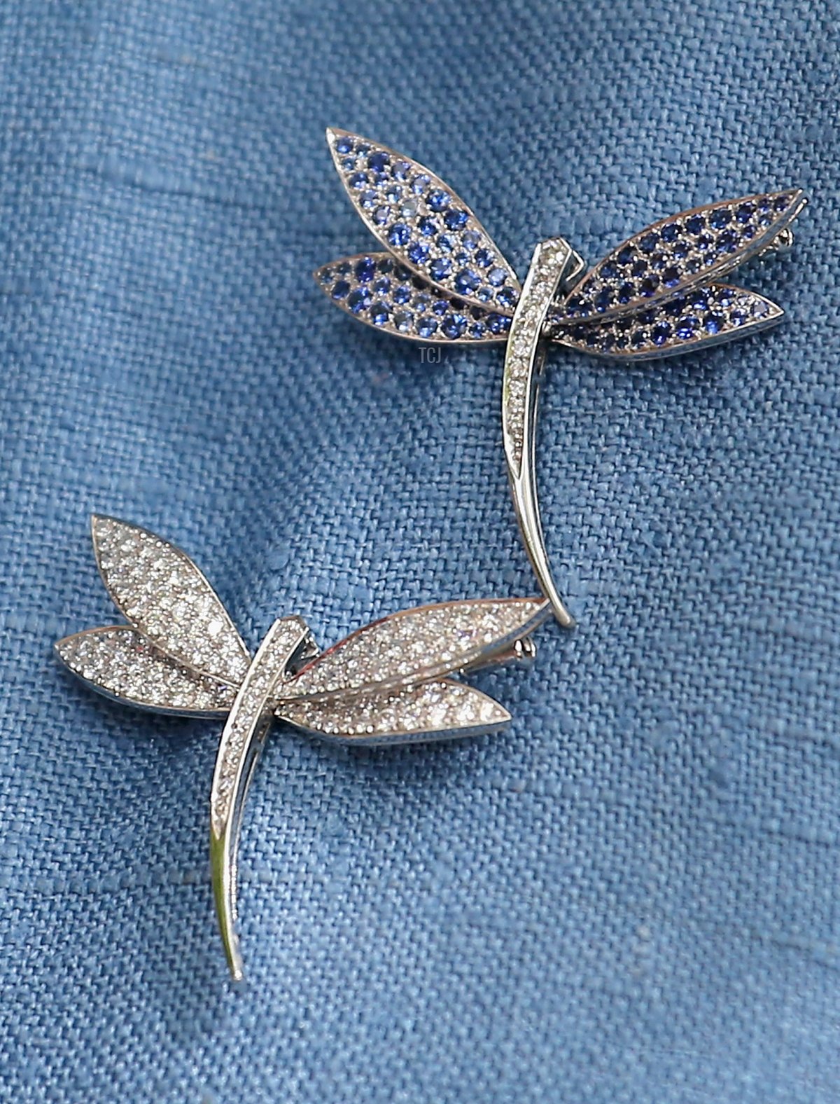 Detail of a brooch is seen as Camilla, Duchess of Cornwall prepares to unveil a plaque in Les Bourges Hospice on July 19, 2012 in St Peter's Port, United Kingdom