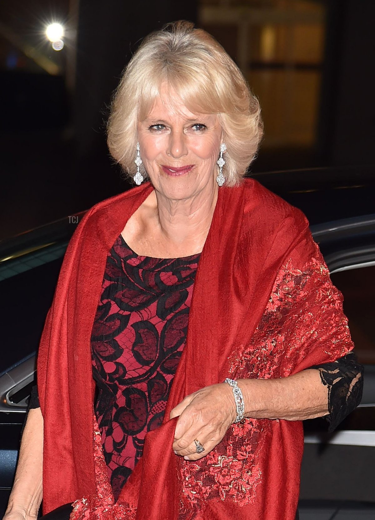 Camilla, Duchess of Cornwall attends the 2015 Man Booker Prize winners reception at The Guildhall on October 13, 2015 in London, England