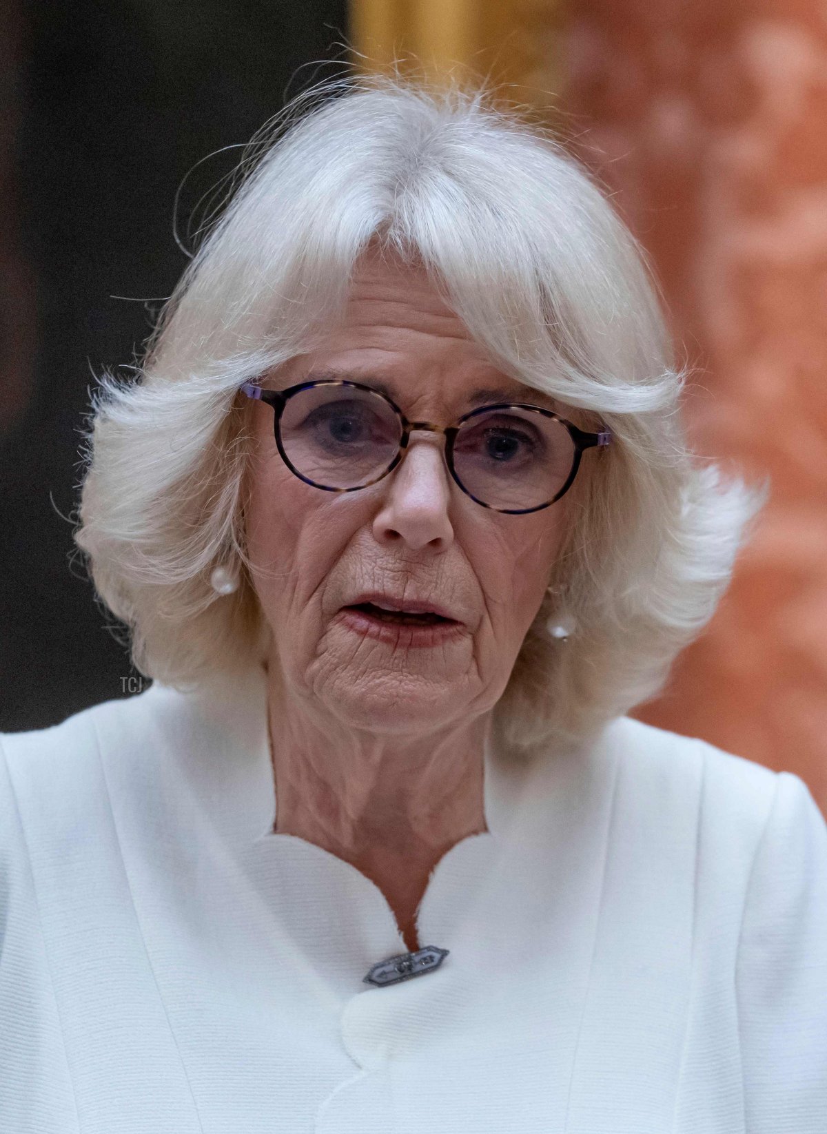 La regina consorte Camilla partecipa a una ricezione per sensibilizzare sulla violenza contro le donne e le ragazze come parte della campagna ONU delle 16 giorni di attivismo contro la violenza di genere, al Palazzo di Buckingham il 29 novembre 2022 a Londra, Inghilterra