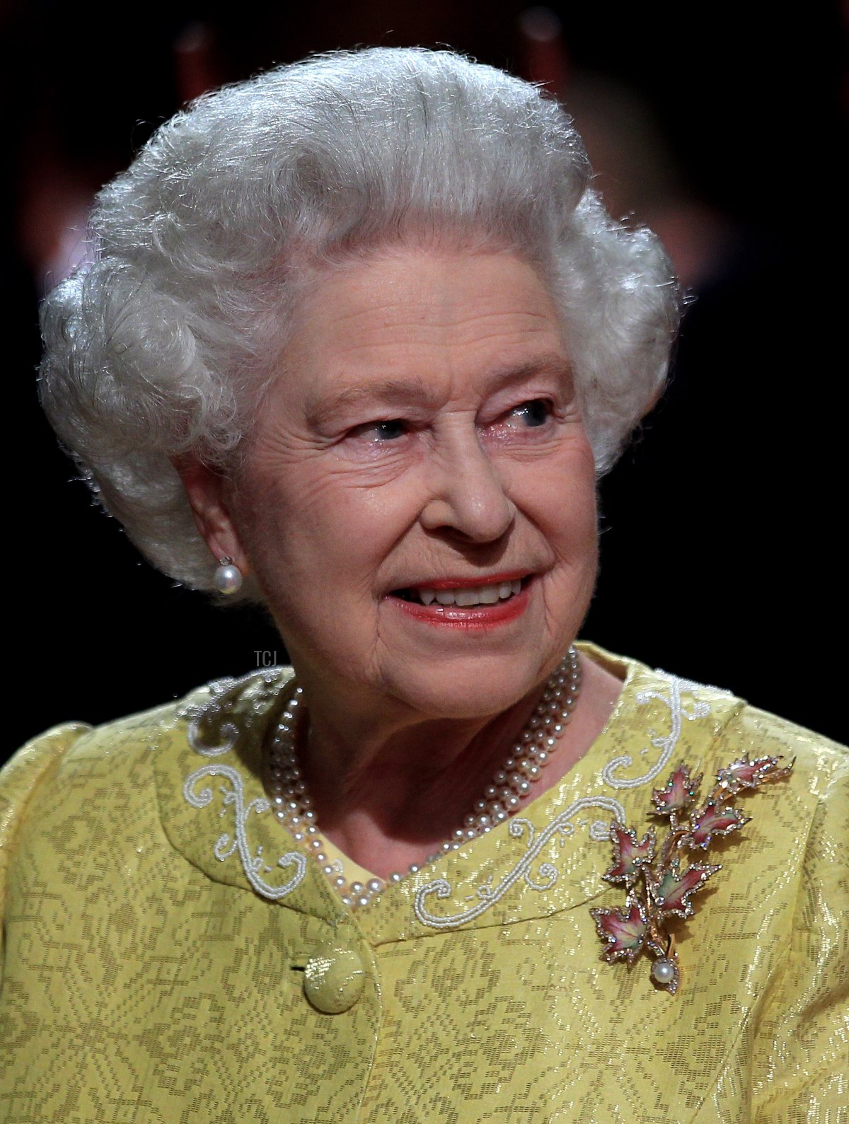 La Regina Elisabetta II partecipa a una ricezione per 'Una celebrazione della Nuova Scozia' presso il Cunard Centre il 29 Giugno 2010 a Halifax, Canada (Chris Jackson-Pool/Getty Images)