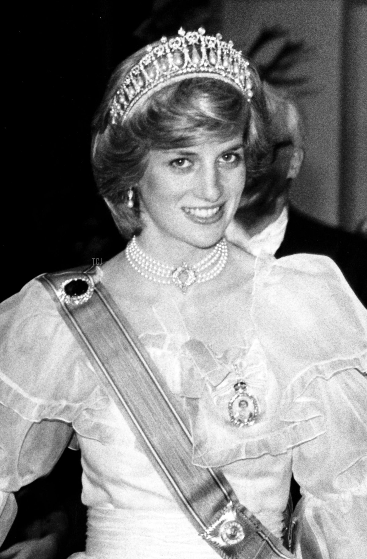 Il Principe Carlo e la Principessa Diana arrivano a Hampton Court per partecipare a un banchetto offerto dalla Regina Beatrice e dal Principe Claus dei Paesi Bassi, 1982 (Mark Blumire/Alpha Photo/Alamy)