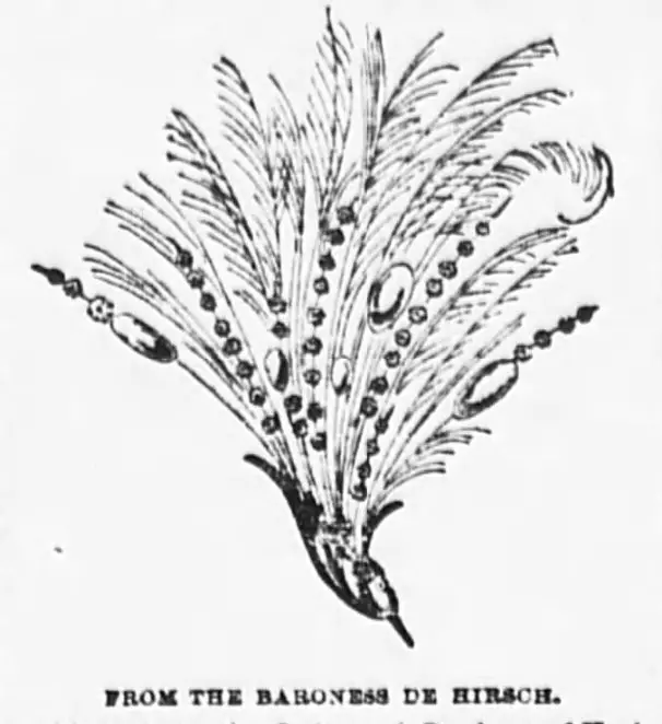 Illustrazione dell'aigrette donata dalla Baronessa de Hirsch alla Principessa Maud, 1896 (New York Sun)