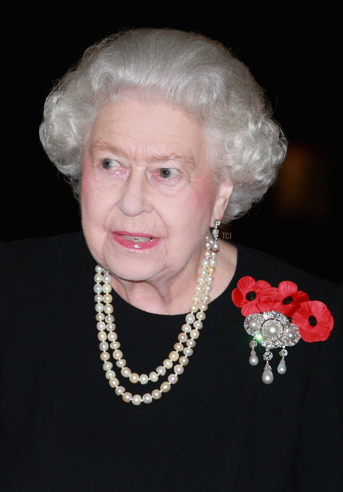 La Regina Elisabetta II arriva per partecipare al Festival annuale di Ricordo della Royal British Legion presso il Royal Albert Hall a Londra il 7 novembre 2015 (CHRIS JACKSON/POOL/AFP via Getty Images)