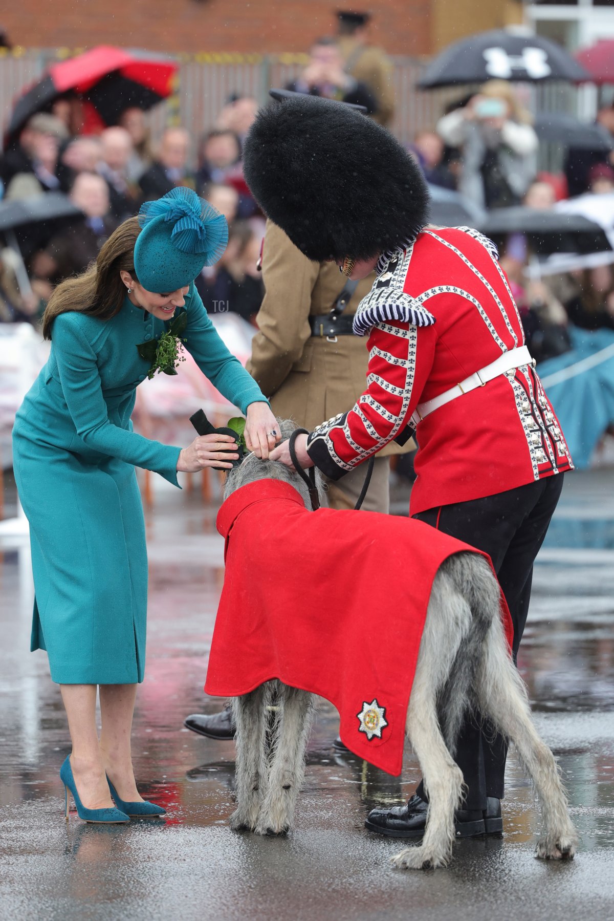 La Principessa del Galles presenta il 'Turlough Mor' (alias Seamus), il cane simbolo del reggimento dei Gardiani Irlandesi, con un tradizionale rametto di trifoglio durante la Parata di San Patrizio alle Caserme Mons il 17 marzo 2023 ad Aldershot, Inghilterra (Chris Jackson - WPA Pool/Getty Images)