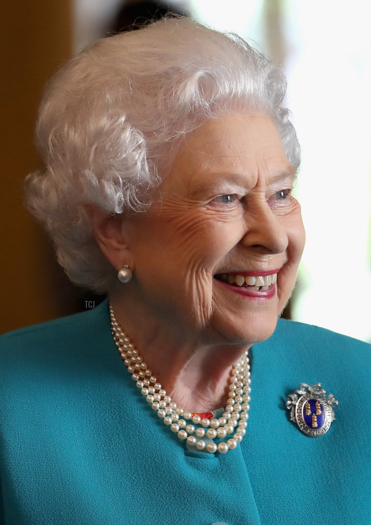 La regina Elisabetta II visita Drapers' Hall per un pranzo in occasione del 70° anniversario dell'ammissione di Sua Maestà alla Libertà della Compagnia il 31 maggio 2017 a Londra, Inghilterra (Chris Jackson - WPA Pool/Getty Images)