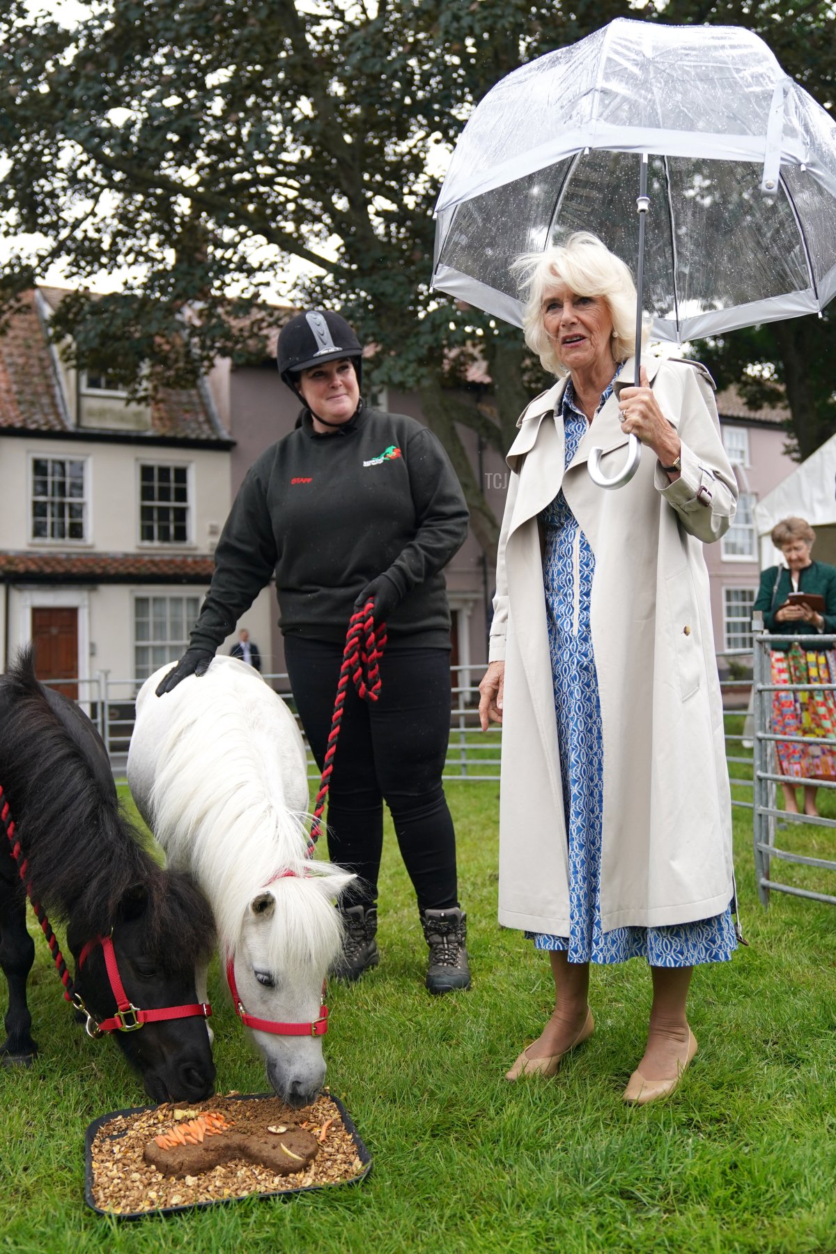 La regina Camilla visita il Redwings Horse Sanctuary presso la Anna Sewell House il 24 luglio 2023 a Great Yarmouth, Regno Unito (Jacob King - WPA Pool/Getty Images)