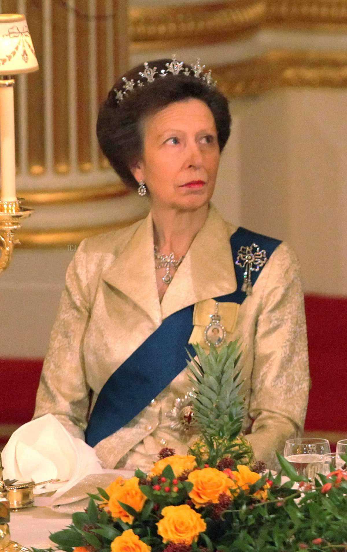 La Principessa Reale partecipa a un banchetto per il Presidente di Turchia al Buckingham Palace di Londra il 22 novembre 2011 (Dominic Lipinski - WPA Pool/Getty Images)