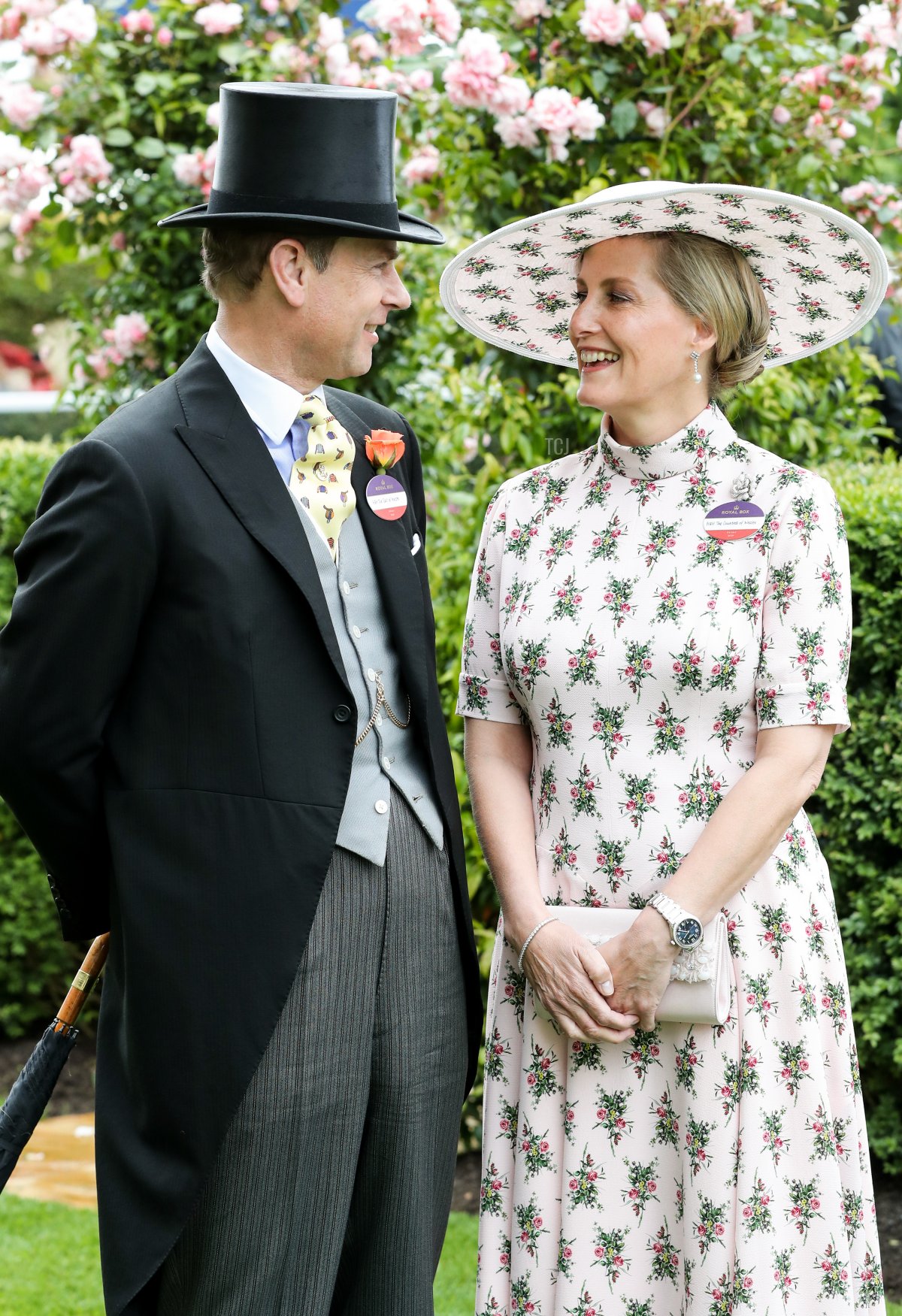 Il Conte e la Contessa di Wessex posano per un ritratto ufficiale per celebrare il loro ventesimo anniversario di matrimonio ad Ascot, il 18 giugno 2019 (Chris Jackson/Getty Images)