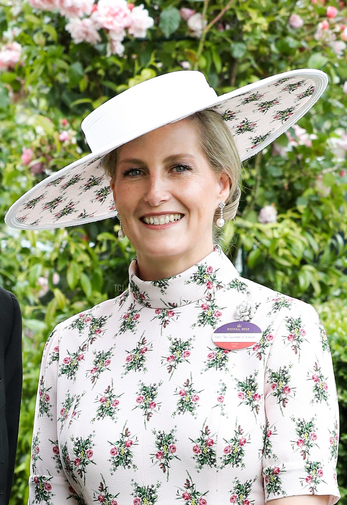 Il Conte e la Contessa di Wessex posano per un ritratto ufficiale per celebrare il loro ventesimo anniversario di matrimonio ad Ascot, il 18 giugno 2019 (Chris Jackson/Getty Images)