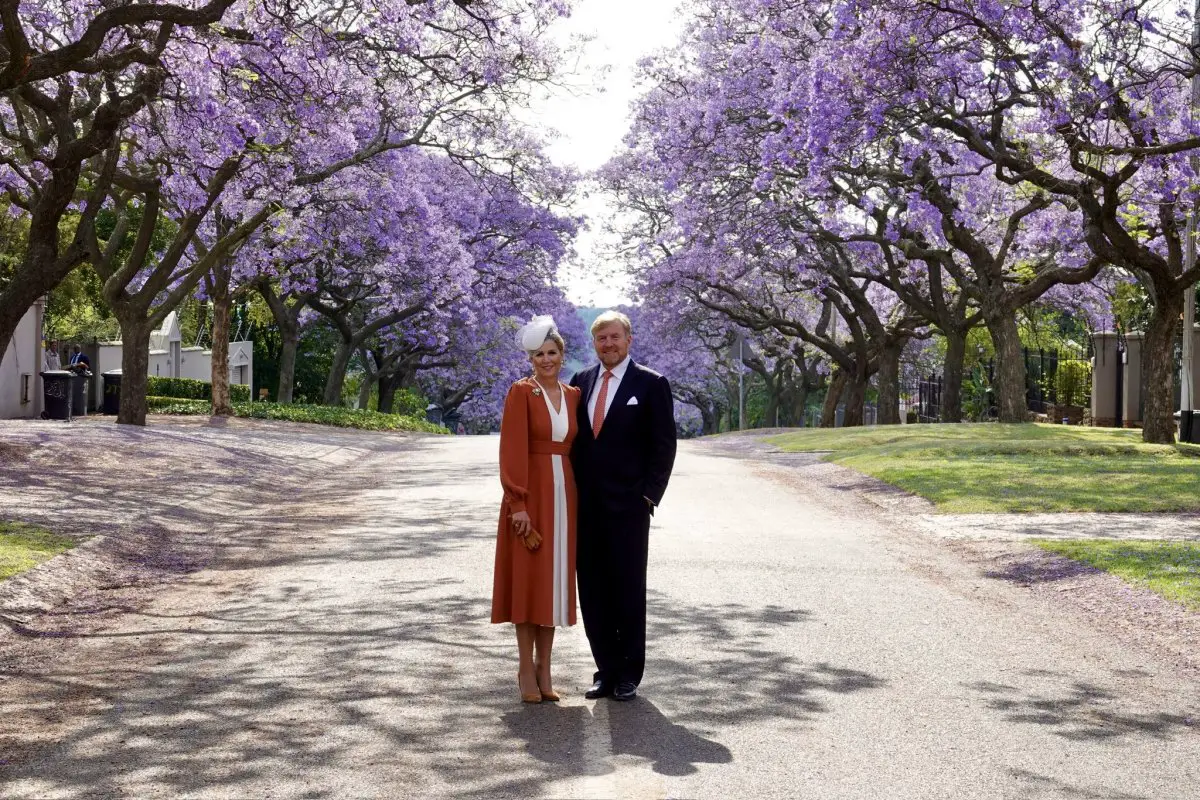 Il re Willem-Alexander e la regina Maxima dei Paesi Bassi posano tra gli splendidi alberi di jacaranda a Pretoria durante la loro visita di stato in Sudafrica il 18 ottobre 2023 (Koninklijk Huis)