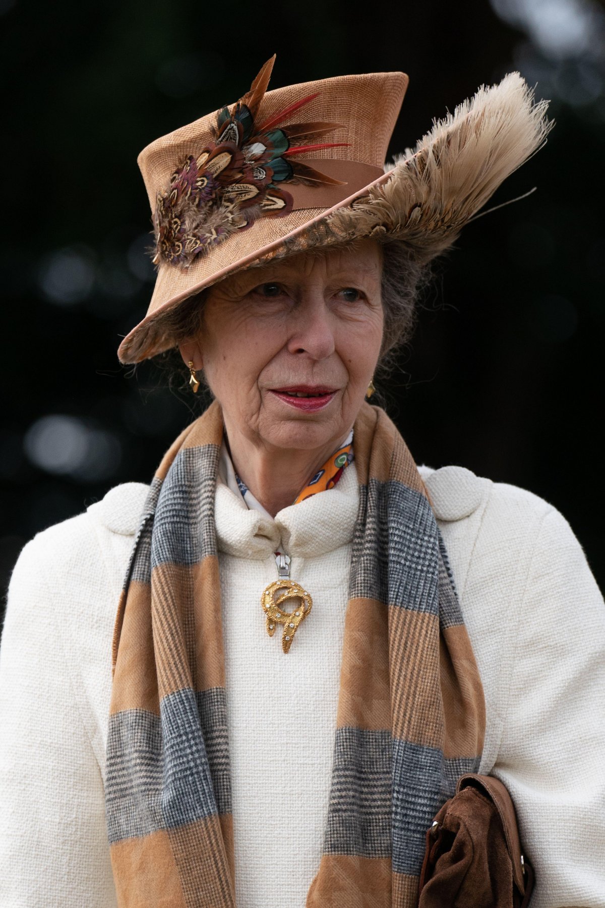 La Principessa Reale partecipa a un servizio religioso di Natale al St. Mary Magdalene vicino alla tenuta di Sandringham il 25 dicembre 2023 (Joe Giddens/PA Images/Alamy)