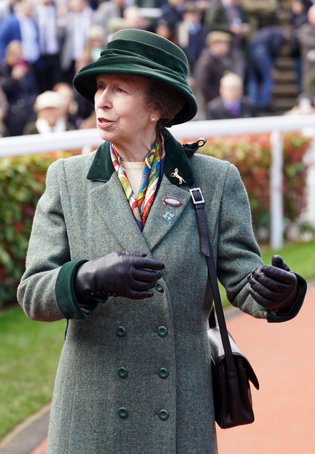 La Principessa Reale partecipa al terzo giorno del Festival di Cheltenham presso l'ippodromo di Cheltenham il 14 marzo 2024 (Mike Egerton/PA Images/Alamy)