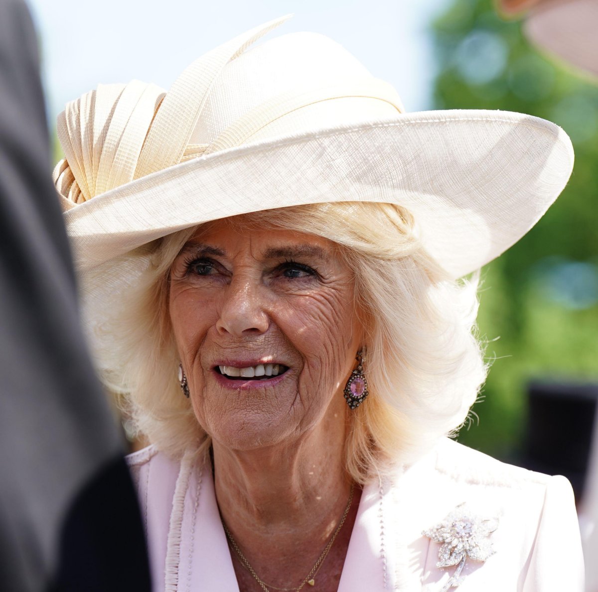 La Regina Camilla del Regno Unito partecipa a una festa in giardino presso Buckingham Palace a Londra il 15 maggio 2024 (Aaron Chown/PA Images/Alamy)