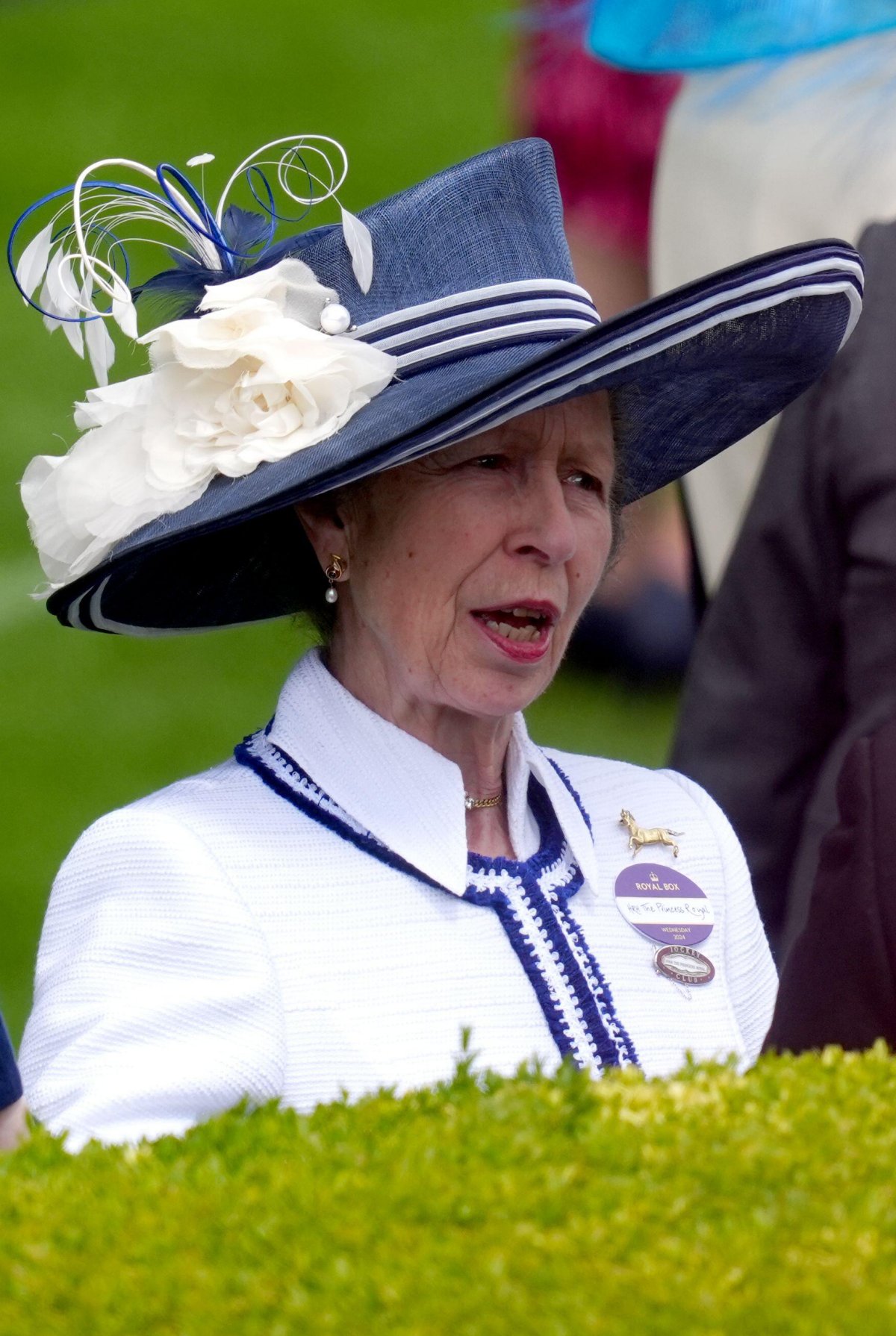 La Principessa Reale partecipa al secondo giorno di Royal Ascot il 19 giugno 2024 (David Davies/PA Images/Alamy)