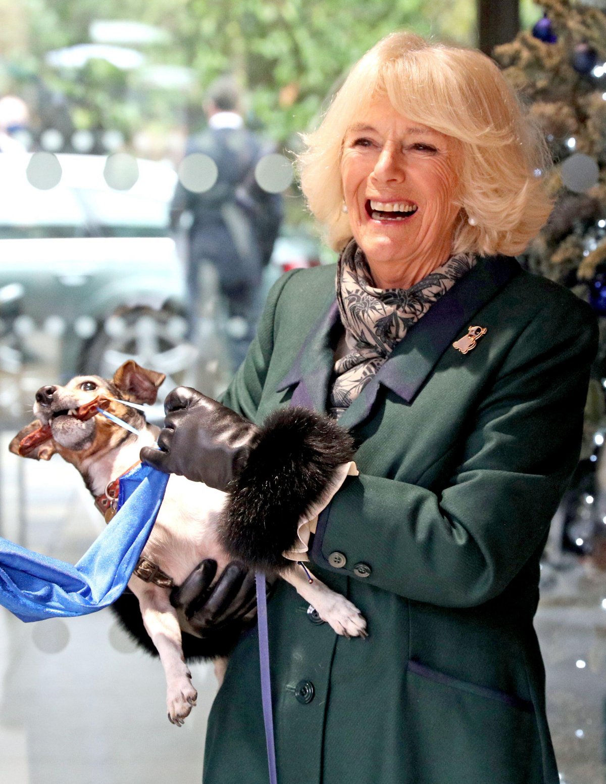 La Duchessa di Cornovaglia e il suo Terrier Jack Russell, Beth, scoprono una targa presso il Battersea Dogs and Cats Home nel dicembre 2020 (Steve Parsons/PA Images/Alamy)