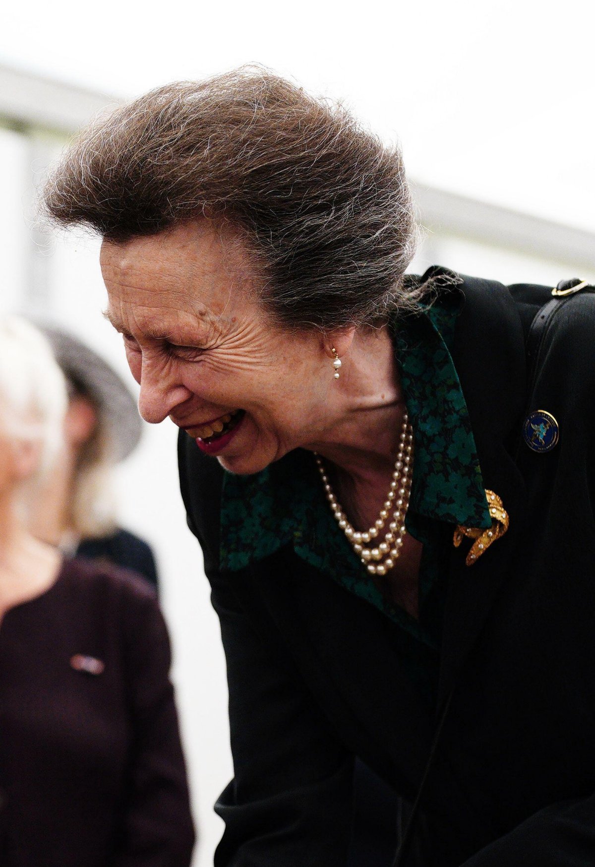 La Principessa Reale parla con i veterani durante una ricezione per commemorare l'80° anniversario della Battaglia di Arnhem presso l'Airborne Museum Hartenstein a Oosterbeek, Paesi Bassi, il 21 settembre 2024 (Ben Birchall/PA Images/Alamy)