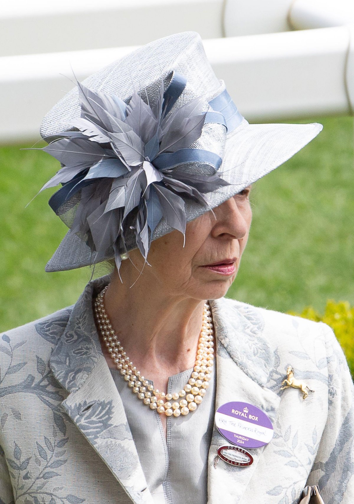 La Principessa Reale partecipa a Royal Ascot il 20 giugno 2024 (Maureen McLean/Alamy)