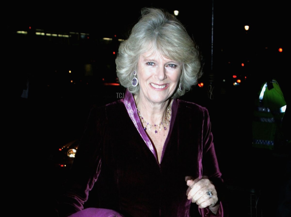 Camilla, Duchessa di Cornovaglia arriva a una Serata di Gala per celebrare il lavoro del Principe's Trust presso il Banqueting House, Whitehall, Londra il 23 novembre 2005