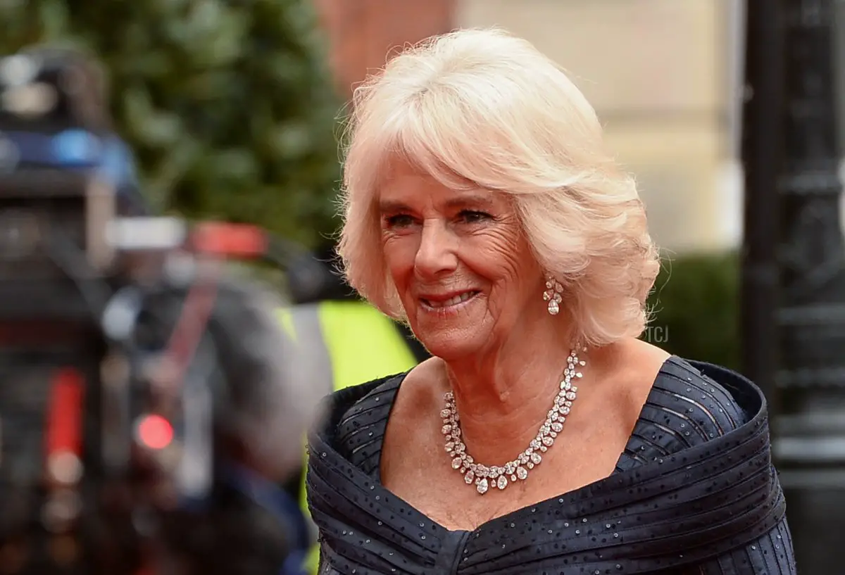 Camilla, Duchessa di Cornovaglia partecipa ai The Olivier Awards con Mastercard al Royal Albert Hall il 07 aprile 2019 a Londra, Inghilterra